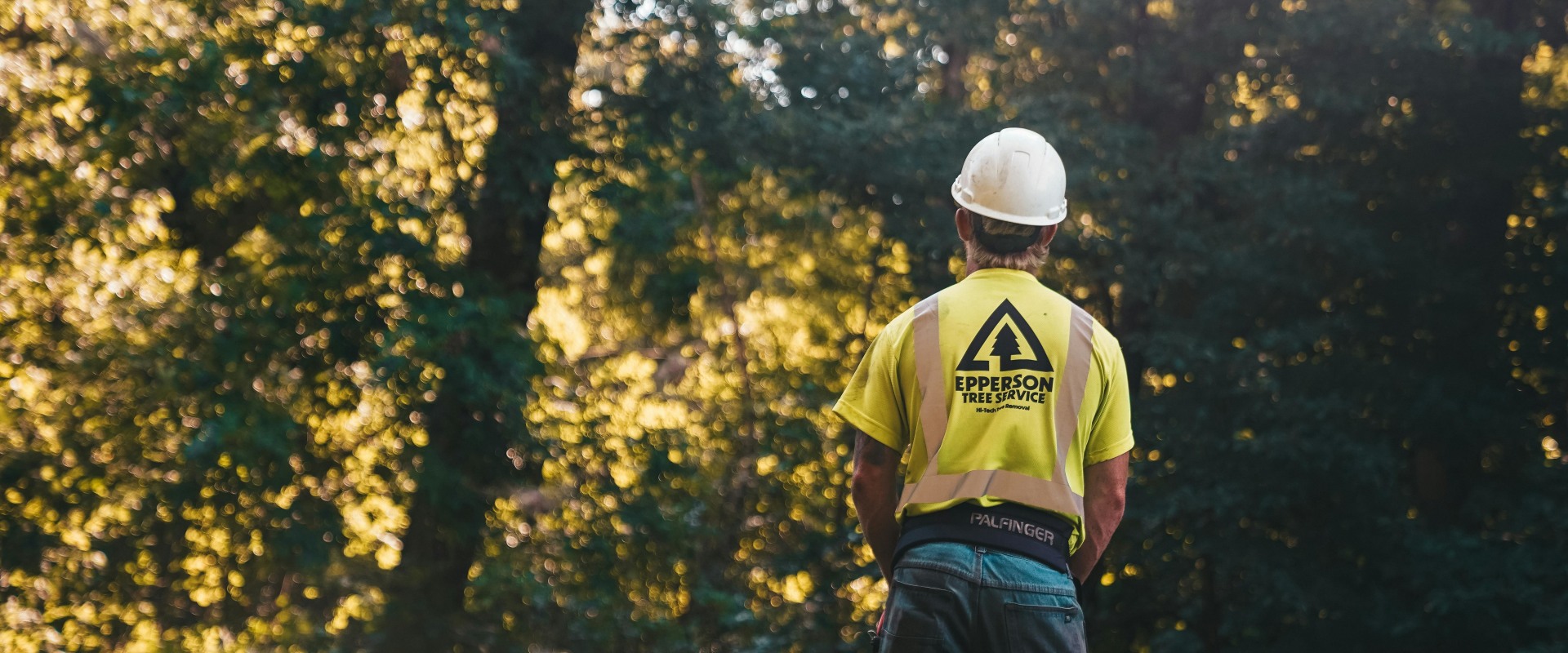 Maximizing Property Potential: How Tree Trimming Services In Hattiesburg, MS Can Help Prepare Your Home For Inspection